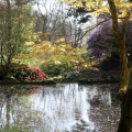 Photo of Lydney Park Gardens