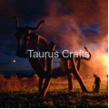 Photo of Taurus Crafts